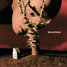 Beanstalk - 黄宣Yellow